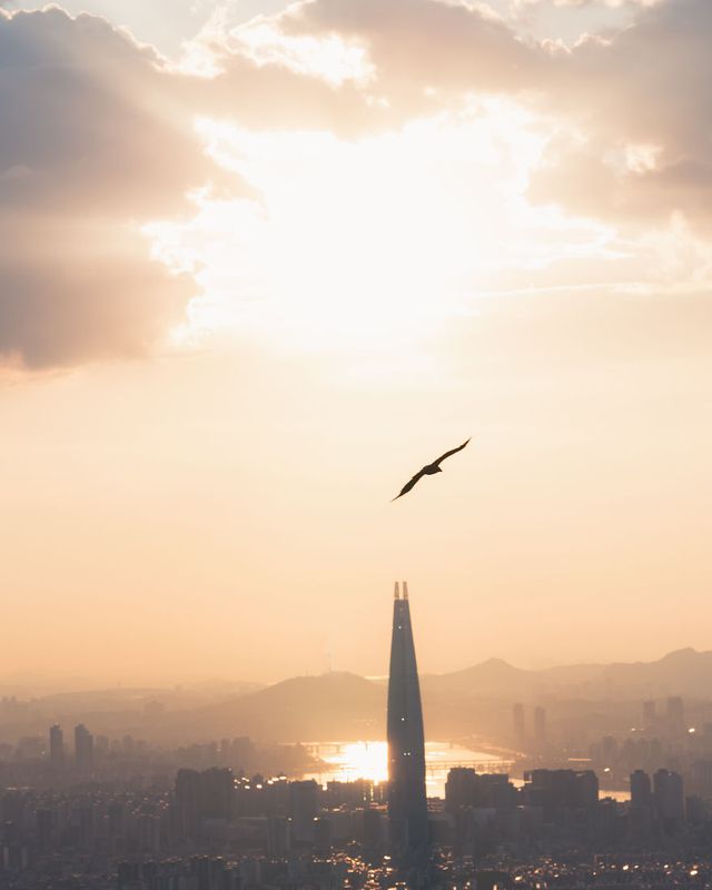 Американець змінив нестерпну роботу на життя в Сеулі: захопливі кадри - фото 338277