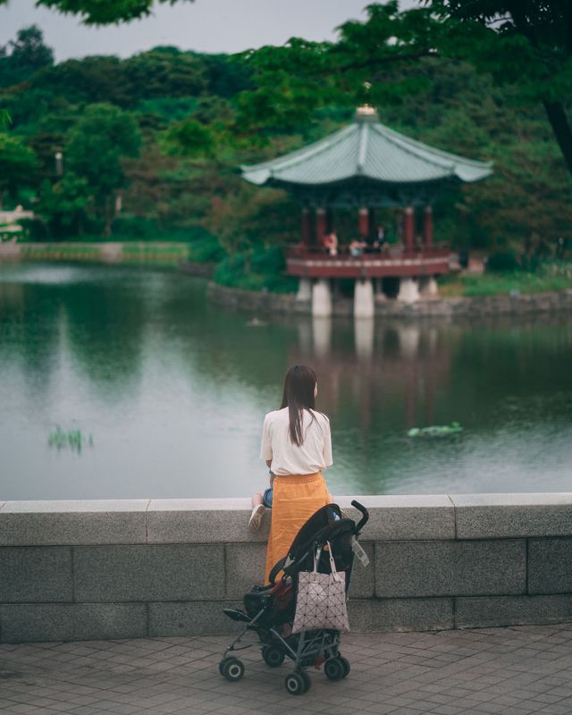 Американець змінив нестерпну роботу на життя в Сеулі: захопливі кадри - фото 338280