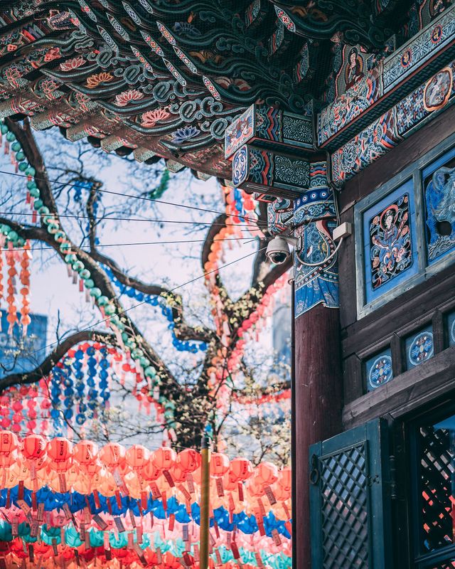 Американець змінив нестерпну роботу на життя в Сеулі: захопливі кадри - фото 338284