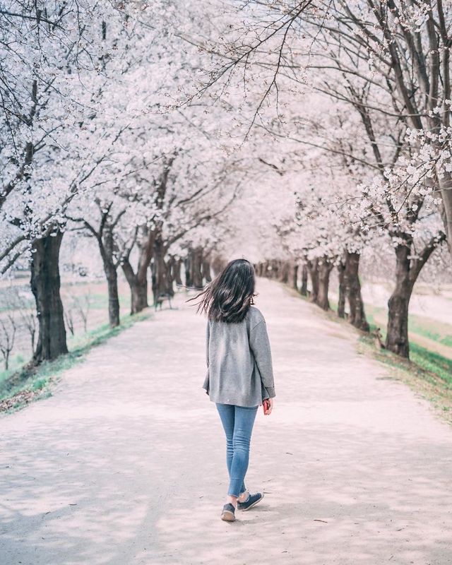 Американець змінив нестерпну роботу на життя в Сеулі: захопливі кадри - фото 338286