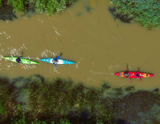 Вилкове – українська Венеція: чим вас вразить унікальне місто в дельті Дунаю - фото 338304
