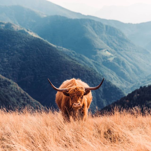 Режисер подорожує світом, надихаючи людей на мандри: захопливі фото - фото 338474