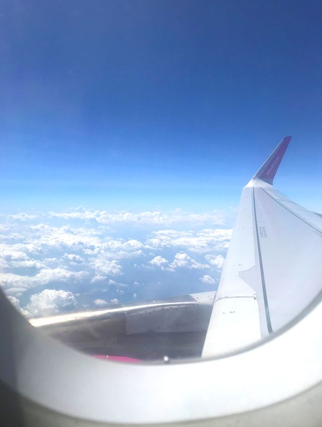 Вроцлав – місто дахів та мостів: як впіймати гнома та полюбити Польщу за 5 днів - фото 338555