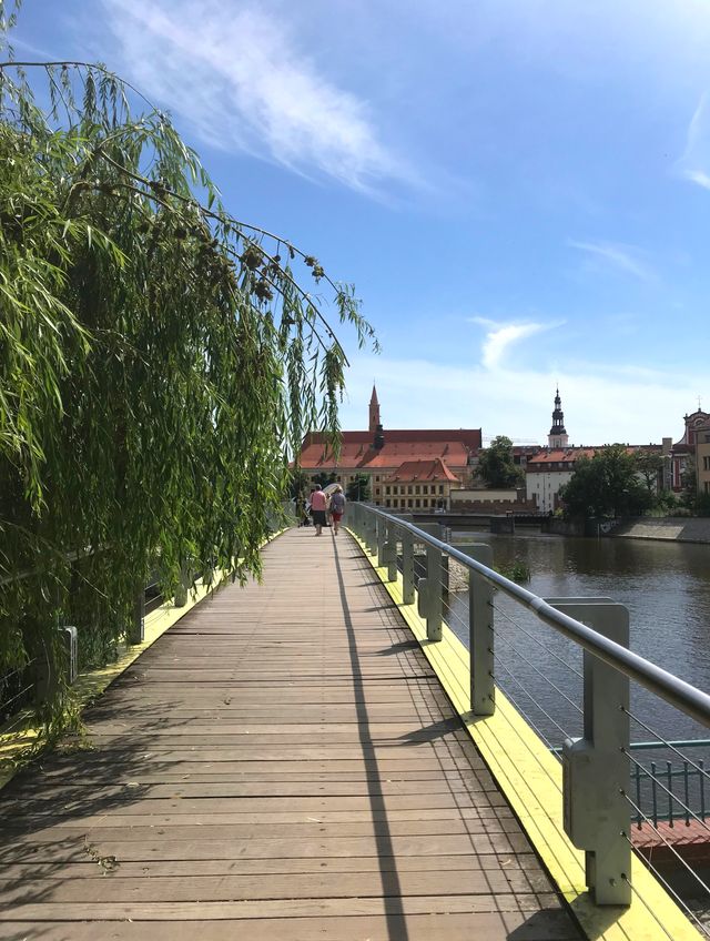 Вроцлав – місто дахів та мостів: як впіймати гнома та полюбити Польщу за 5 днів - фото 338583