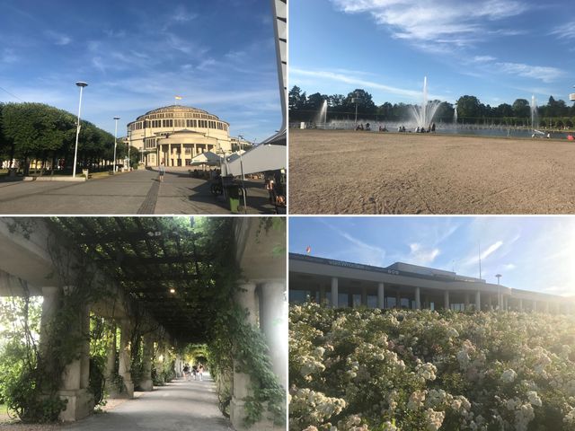 Вроцлав – місто дахів та мостів: як впіймати гнома та полюбити Польщу за 5 днів - фото 338664