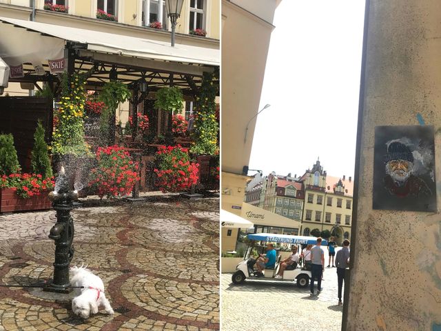 Вроцлав – місто дахів та мостів: як впіймати гнома та полюбити Польщу за 5 днів - фото 338665