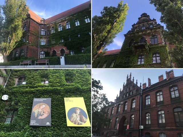 Вроцлав – місто дахів та мостів: як впіймати гнома та полюбити Польщу за 5 днів - фото 338673