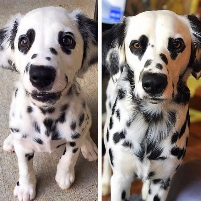 reddit.com/user/commonvanilla - фото 338674