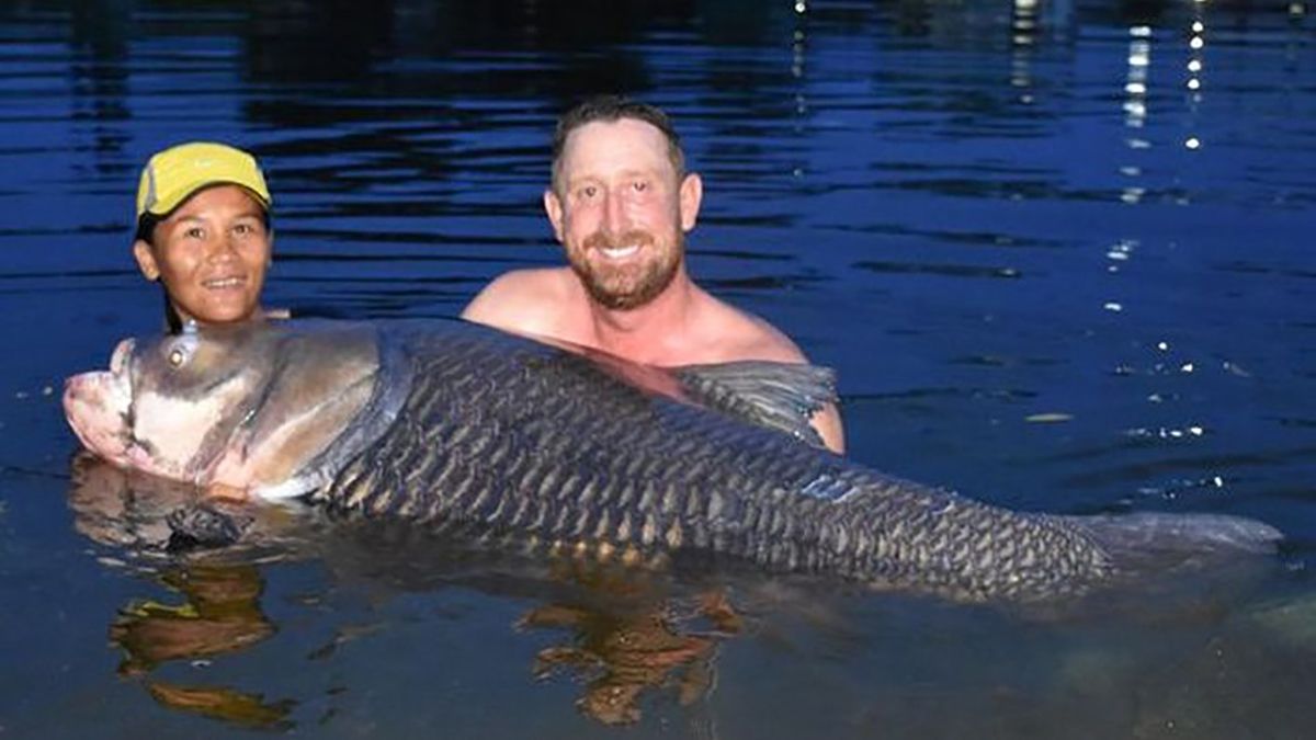 Фото цього 105-кілограмового коропа шокує вас