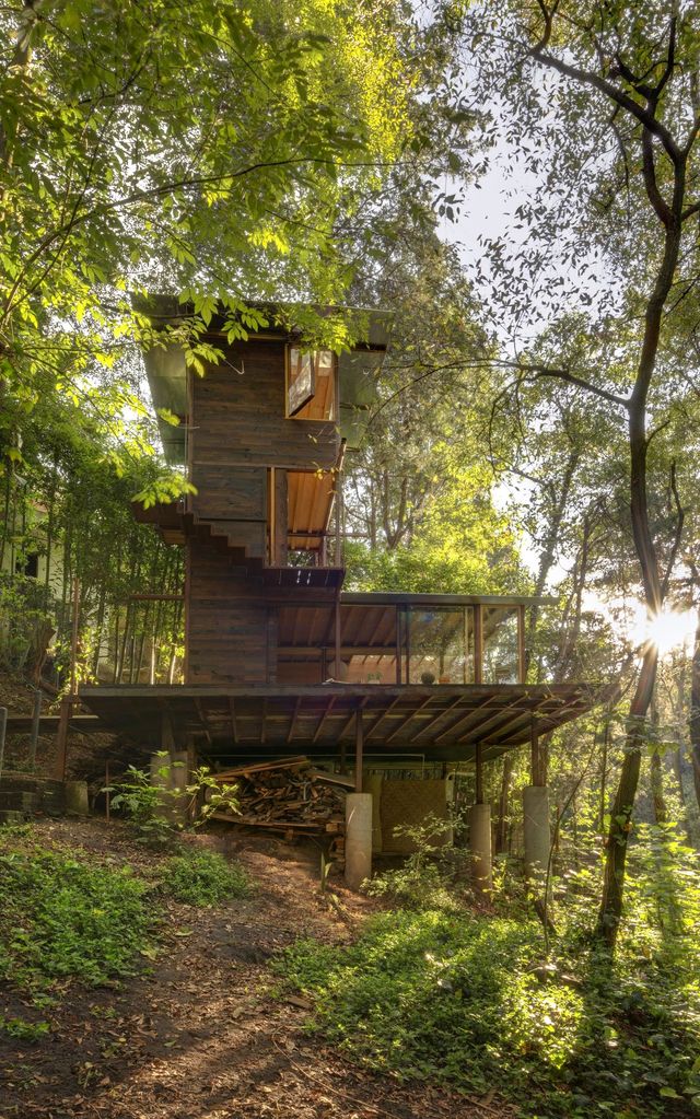 Наодинці з природою: як виглядає дерев'яний дім у горах Мехіко - фото 338837