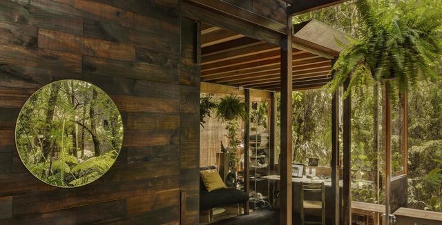 Наодинці з природою: як виглядає дерев'яний дім у горах Мехіко - фото 338840