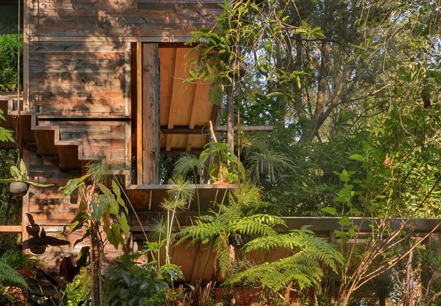 Наодинці з природою: як виглядає дерев'яний дім у горах Мехіко - фото 338843