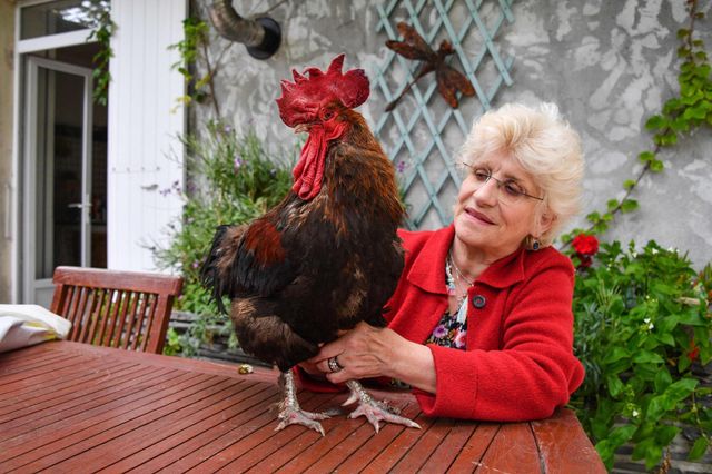 Остаточне рішення суд винесе 5 вересня - фото 338903