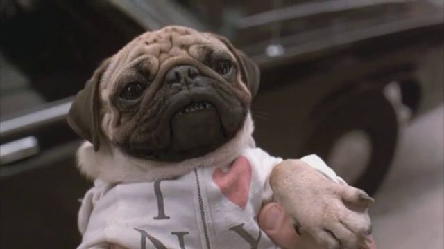 Люди в чорному: як змінилися улюблені герої фільму - фото 339139