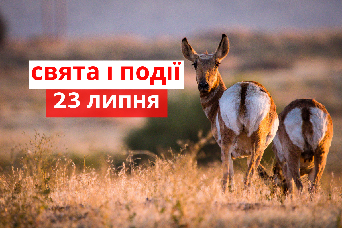 23 липня 2019 – яке сьогодні свято: традиції, заборони і прикмети