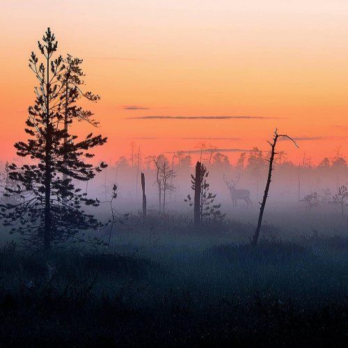 Фотограф показав найказковіше місце на Землі - фото 339349