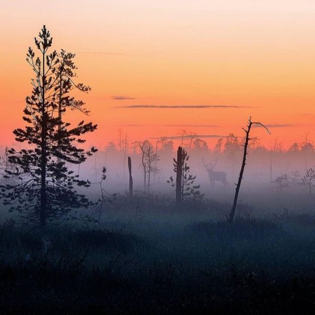 Фотограф показав найказковіше місце на Землі - фото 339349