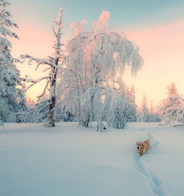 Фотограф показав найказковіше місце на Землі - фото 339350
