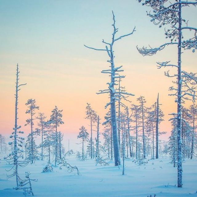 Фотограф показав найказковіше місце на Землі - фото 339353