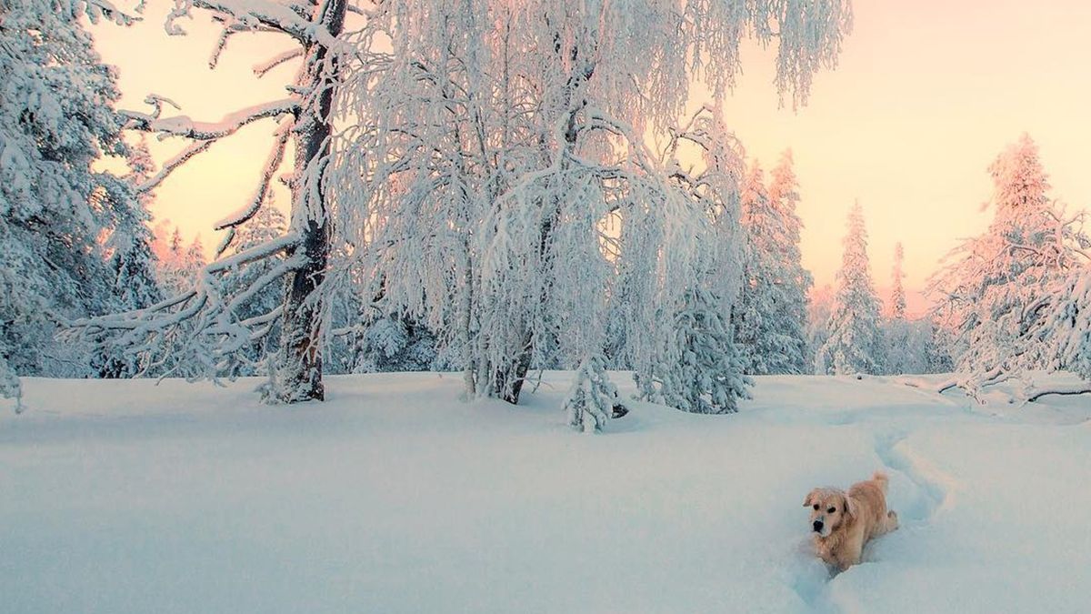 Казкові знімки - фото 1