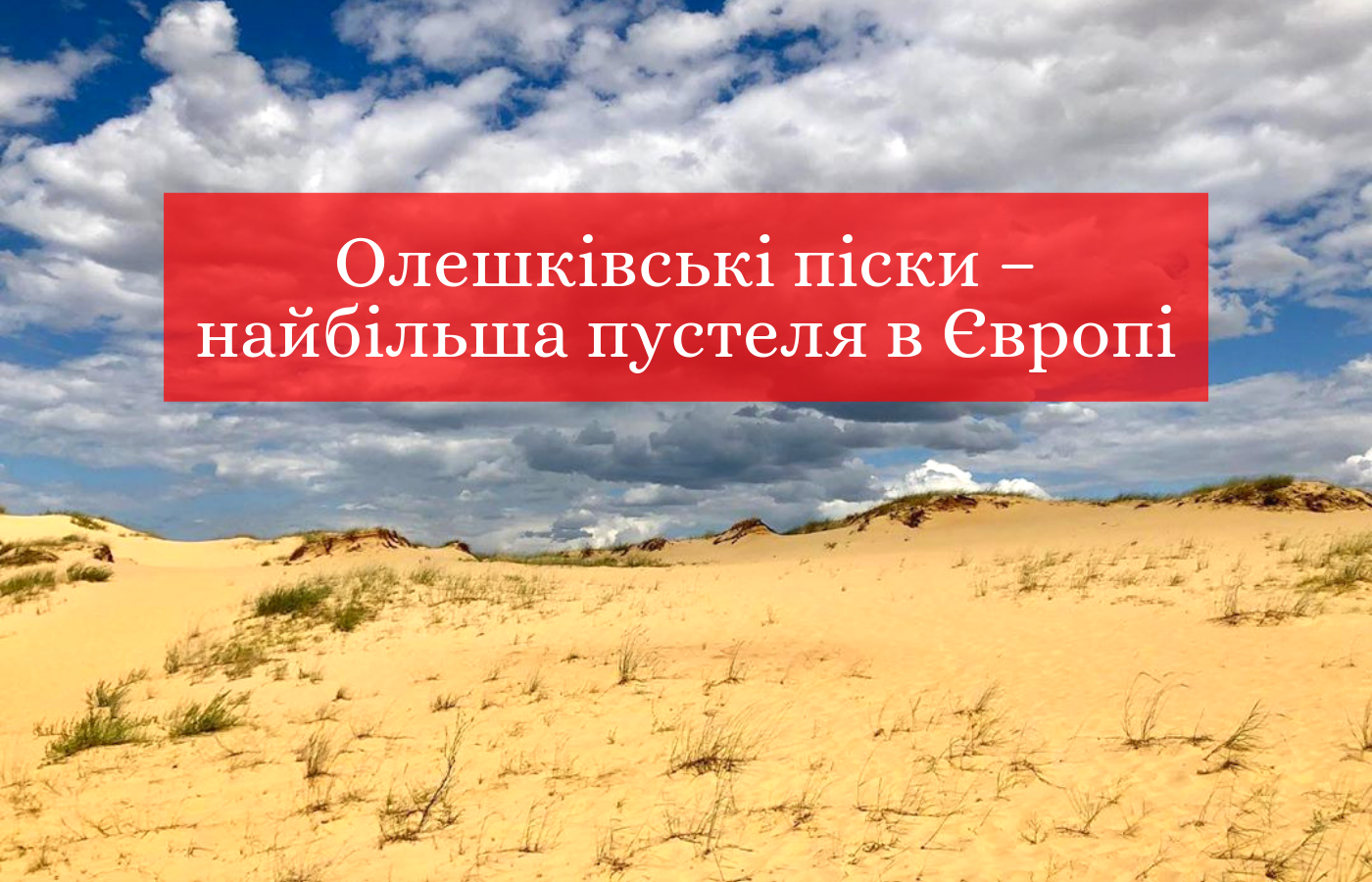 Олешківські піски – пустеля на Херсонщині - фото 1