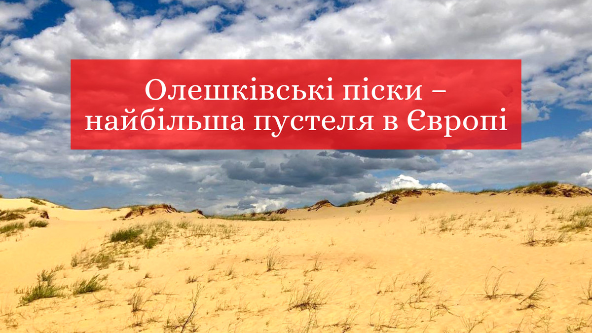 Олешківські піски – пустеля на Херсонщині - фото 1