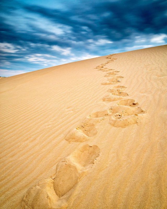 Олешківські піски – українська Сахара: як добратися та що варто знати про пустелю - фото 339459