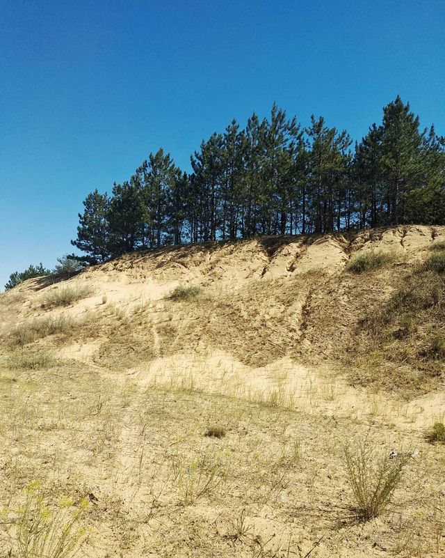 Олешківські піски – українська Сахара: як добратися та що варто знати про пустелю - фото 339461