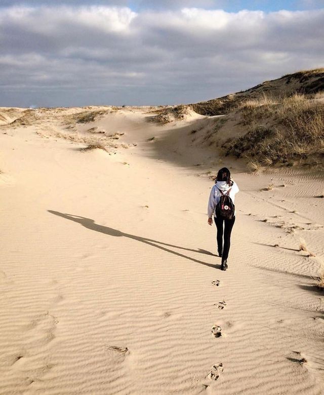 Олешківські піски – українська Сахара: як добратися та що варто знати про пустелю - фото 339462