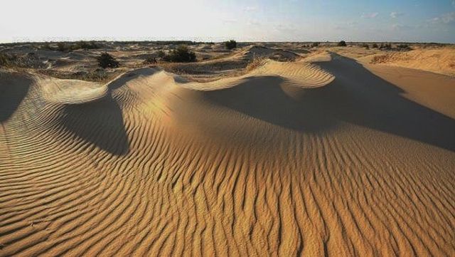 Олешківські піски – українська Сахара: як добратися та що варто знати про пустелю - фото 339463