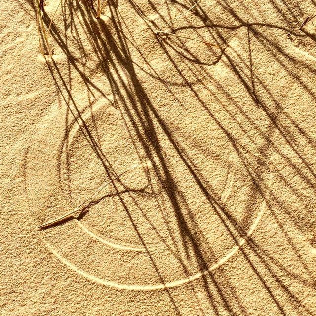 Олешківські піски – українська Сахара: як добратися та що варто знати про пустелю - фото 339464