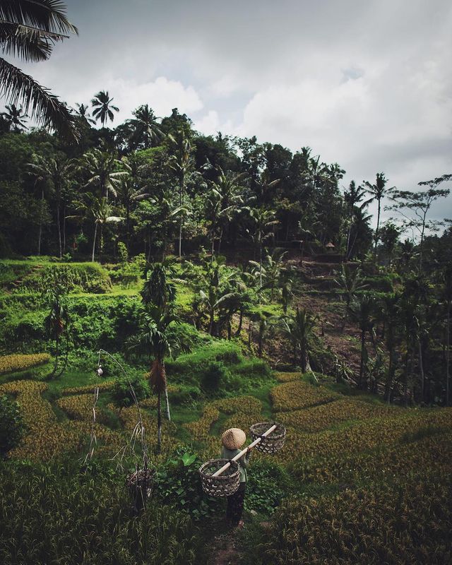 Азія з висоти пташиного польоту: фото, які вражають - фото 339484