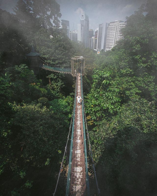 Азія з висоти пташиного польоту: фото, які вражають - фото 339500