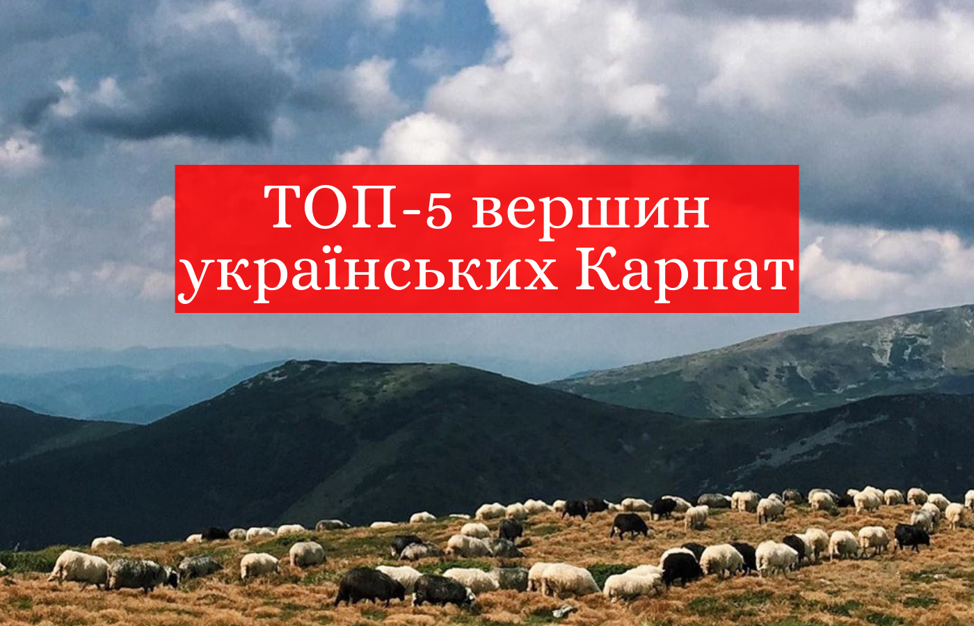 Українські Карпати: ТОП 5 вершин, які варто підкорити