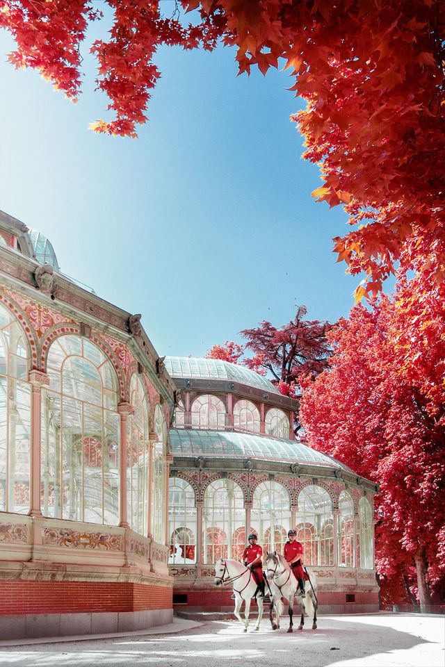 Француз показав інфрачервоний Мадрид: вражаючі фото - фото 339576