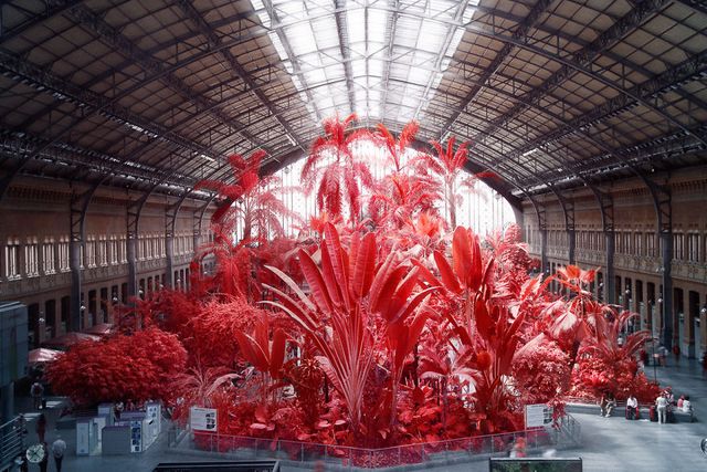 Француз показав інфрачервоний Мадрид: вражаючі фото - фото 339585