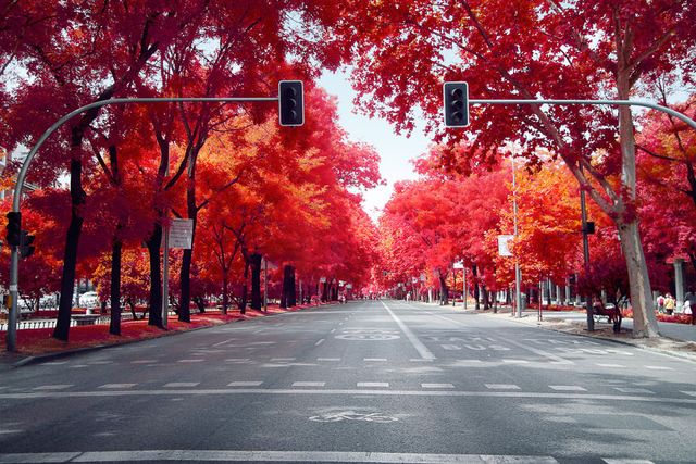 Француз показав інфрачервоний Мадрид: вражаючі фото - фото 339589
