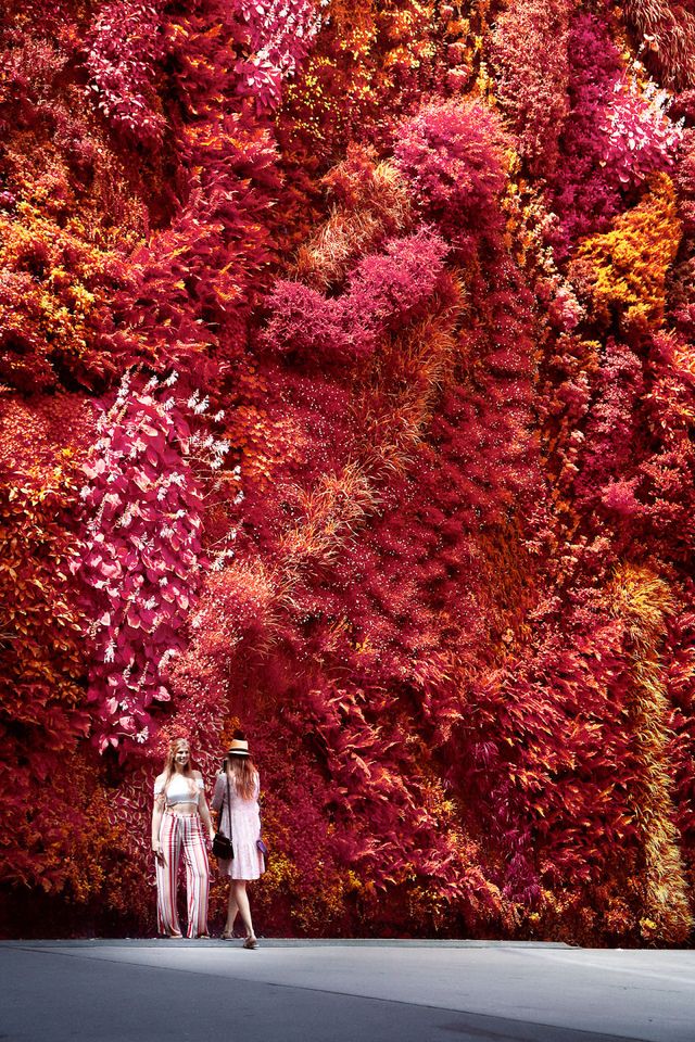 Француз показав інфрачервоний Мадрид: вражаючі фото - фото 339590