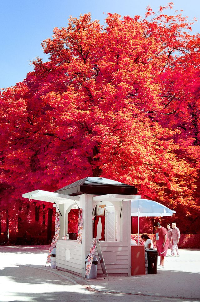 Француз показав інфрачервоний Мадрид: вражаючі фото - фото 339591