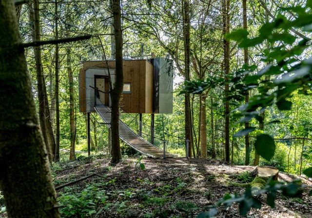 У Данії відкрили перший готельний номер на дереві - фото 339623