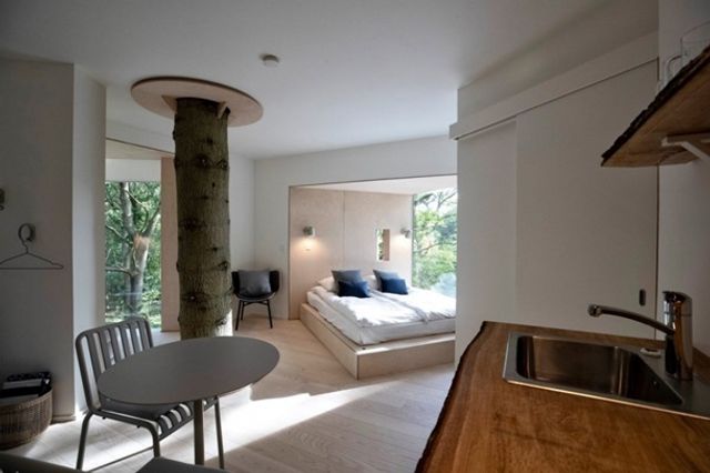 У Данії відкрили перший готельний номер на дереві - фото 339624