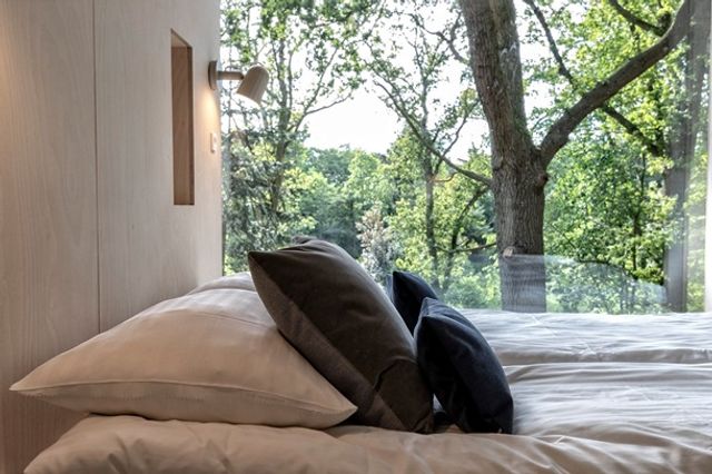 У Данії відкрили перший готельний номер на дереві - фото 339626