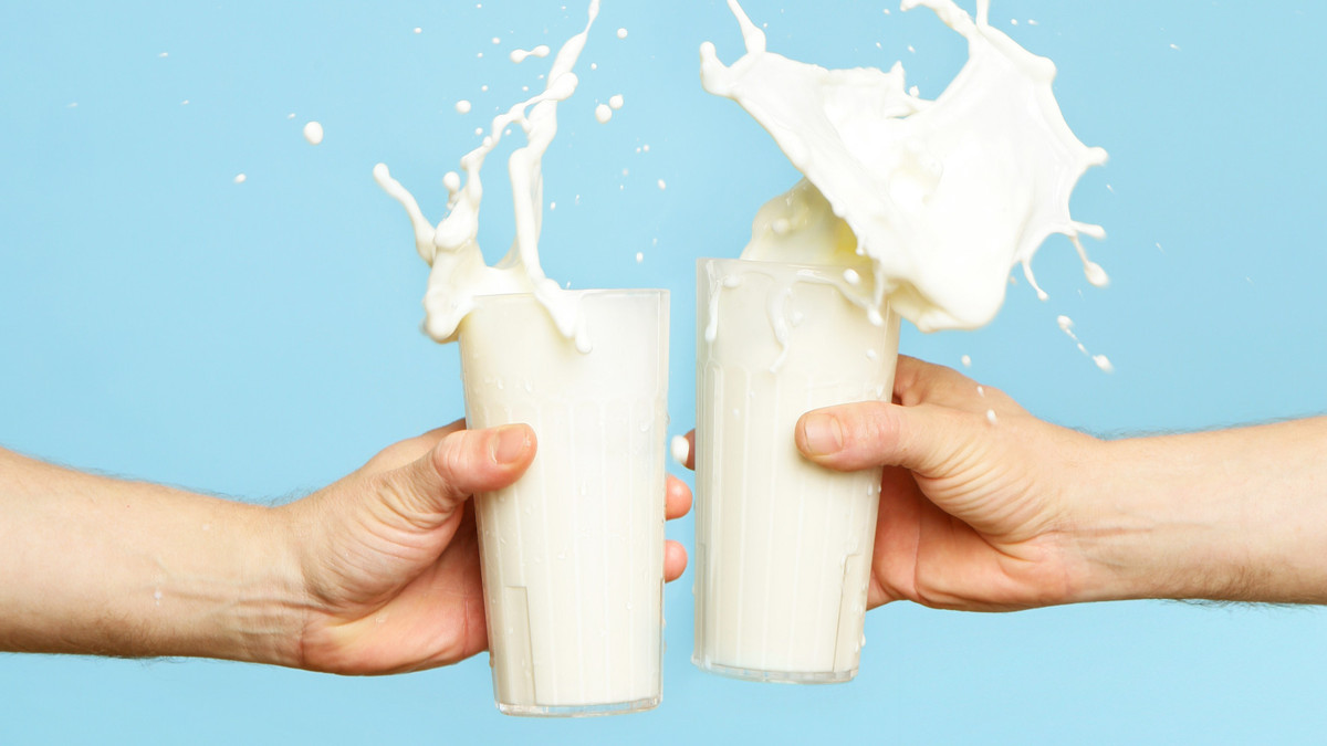 Головне – не зловживати молочними продуктами - фото 1