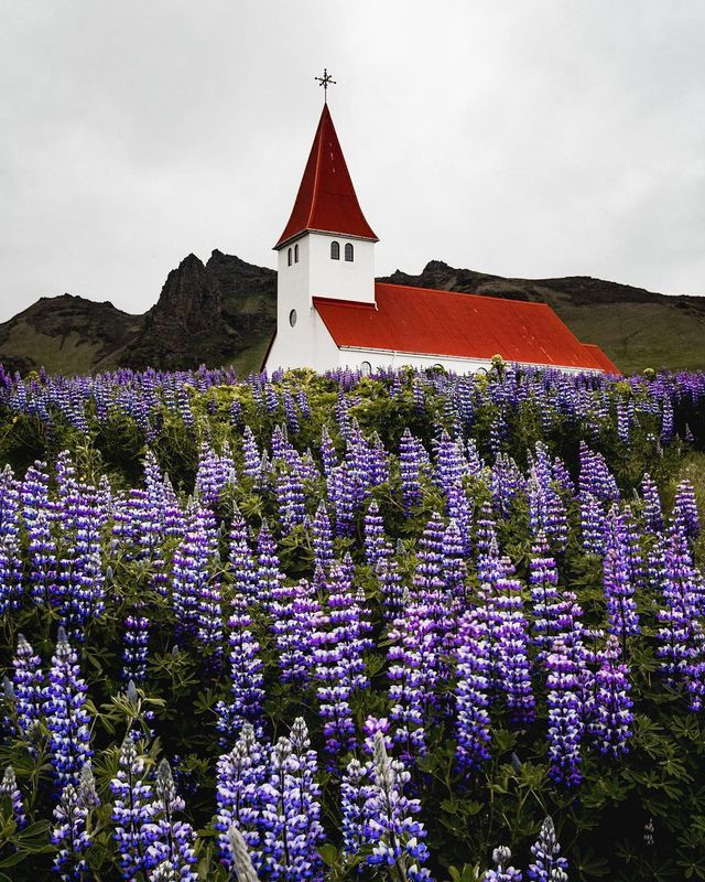 Подорож Фінляндією, від якої перехоплює дух: захопливі фото - фото 339969