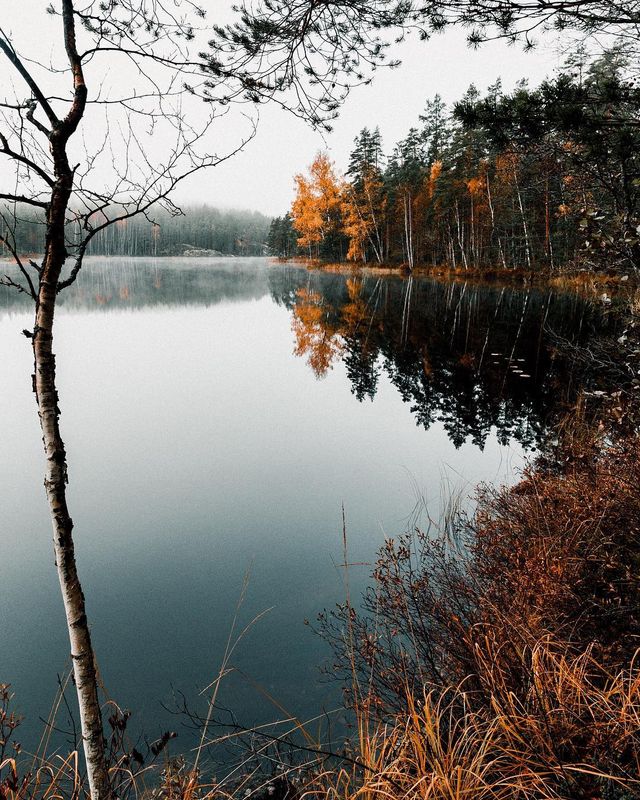 Подорож Фінляндією, від якої перехоплює дух: захопливі фото - фото 339974