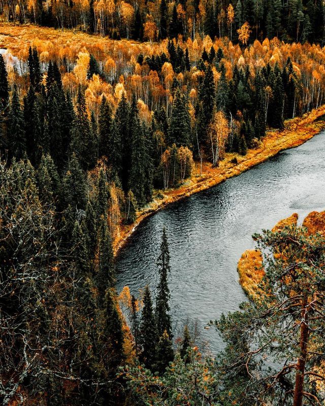 Подорож Фінляндією, від якої перехоплює дух: захопливі фото - фото 339976