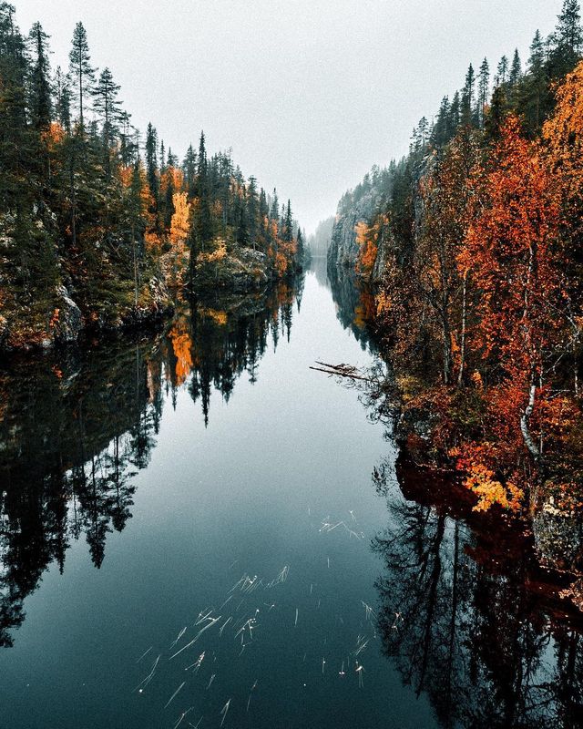 Подорож Фінляндією, від якої перехоплює дух: захопливі фото - фото 339987