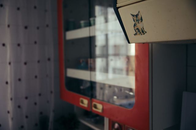 Пара з Вільнюса вигадала розвагу для фанатів серіалу Чорнобиль: фото - фото 340022