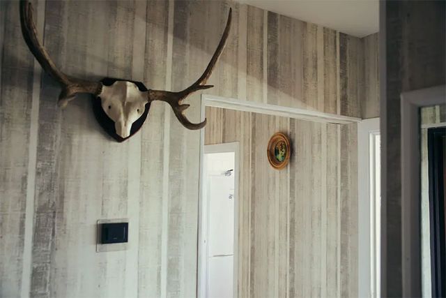 Пара з Вільнюса вигадала розвагу для фанатів серіалу Чорнобиль: фото - фото 340023