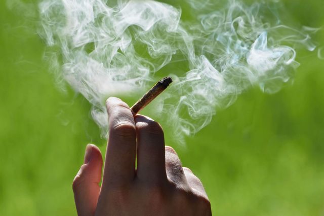 Легалізація марихуани скорочує цікавіть до неї з боку молоді - фото 340185
